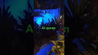 Quran translation in urdu surah madah [upl. by Herman]