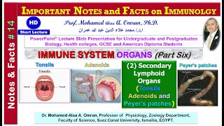 IMPORTANT NOTES and FACTS on IMMUNOLGY  Immune System Organs Part six [upl. by Aznerol]