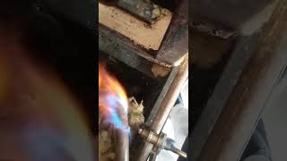 LPG GAS STOVE CHECK ✔️gas stove experement shortsfeed shots shortvideo [upl. by Nylynnej]