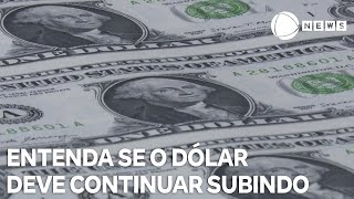 Entenda se o dólar deve continuar subindo e quais as possíveis consequências [upl. by Aynor864]