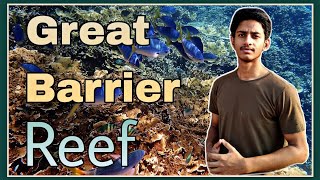 Great Barrier Reef in Hindi  reef [upl. by Ettezyl417]