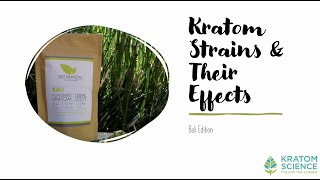 Kratom Strains amp Their Effects Bali Edition [upl. by Eisenhart]