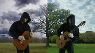 Vivaldi Storm Guitar [upl. by Whatley]