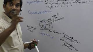 Plasmolysis Incipient Plasmolysis and Deplasmolysis [upl. by Cate]