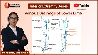 Unraveling the Mysteries of Venous Drainage An Allencompassing Anatomy Guide [upl. by Jobina139]