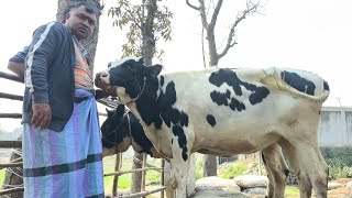 ১০০ লাভ তুহিন ভাইয়ের নতুন গরিবের প্যাকেজ  জানতে ফুল ভিডিওটা দেখুন [upl. by Margetts]