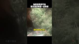 如果道理讲不通，那么贫道还略懂一些拳脚kungfu funny 功夫 道教 搞笑 有趣 武术 精彩片段 [upl. by Nelubez535]