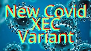 What Is The New Covid XEC Variant How To Stop Covid 19 Will Covid End covidxec covidxecvariant [upl. by Polish684]