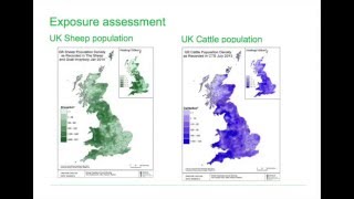 Bluetongue disease  Part 1 UK risk assessment 2016 [upl. by Eleets]