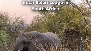 SAVE this video if you’d like to experience the ultimate soft life in a luxury safari tent 🐘🛖💫 [upl. by Airpal]