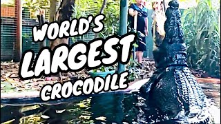 BIGGEST CROCODILE IN THE WORLD [upl. by Nrojb]