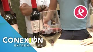 ¿El mejor vino El ‘Señorío de Pedraza’ de Aceuchal  Conexión Extremadura [upl. by Esinaej160]