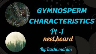 Gymnospermsclass 11plant kingdom general featurescbsencert biologyneetCBSEchapter3 [upl. by Elery756]