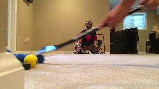 Mini Hockey Shots With Goalie [upl. by Fredek]