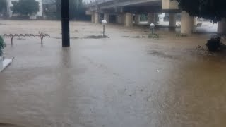 MARIKINA RIVER UPDATE [upl. by Dranyer]