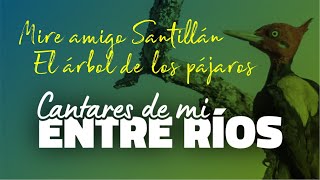 Cantares de mi Entre Ríos  Mire amigo Santillan  El árbol de los pájaros EN VIVO [upl. by Natek]