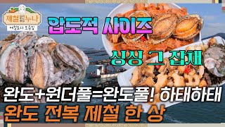 제철 요리 모음집시즌3 완도원더풀완도풀 하태하태 완도 전복 제철 한 상  제철누나 [upl. by Llorre580]