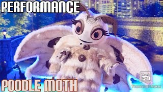 Poodle Moth Performs quotJust The Way You Arequot By Billy Joel  Masked Singer  S11 E3 [upl. by Aiykan407]