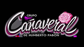 Tiene Espinas el Rosal 🌹 Grupo Cañaveral [upl. by Anibur]