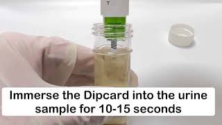 DOA Rapid Test Dipcard Urine [upl. by Arleyne]