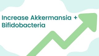 Increase akkermansia muciniphila amp bifidobacteria [upl. by Beasley]