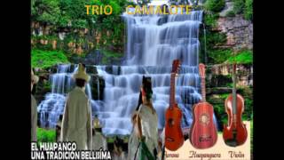 TRIO CAMALOTE DE PANUCO VERACRUZ [upl. by Aridaj]