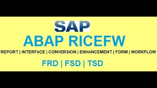 HOW YOU WORK WITH ABAP TEAM AS AN SAP FUNCTIONAL CONSULTANT  SAP ABAP RICEFW DEVELOPMENT [upl. by Jolee825]