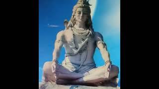 karuna karokhast haromere bholenath mere babaharharmahadev shorts videodevotional [upl. by Nirrej]