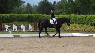 Mettingen 2017 MDressurkür 682 7 Platz [upl. by Ainafets]