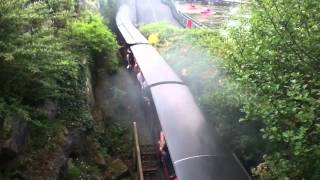 Stream Train at Trago Mills Newton Abbot [upl. by Acyssej]