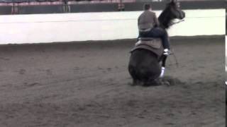 Reining horses sliding stop Oops Moment [upl. by Furlong]