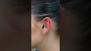 Helix Ear Piercing with STUDEX® System75™ Using Barbell Ear Piercing [upl. by Kennard840]