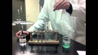 Cupric Sulfate  Sodium Hydroxide PreLab  STS Students Teaching Students Chemistry Lab [upl. by Ratep]