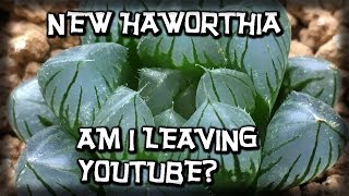 NEW HAWORTHIA SUCCULENTS PLANT HAUL amp AM I LEAVING YOU TUBE  MY COLLECTION GROWS [upl. by Naol]