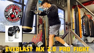 HEAVY BAG TRAINING Everlast MX 20 Pro Fight Gloves [upl. by Jennica]