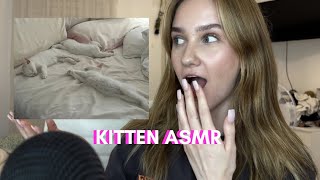 KITTEN ASMR 😻😽 [upl. by Yennor895]