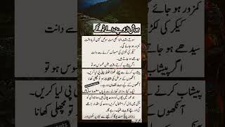 Hosh auda denay walay totky trendingshorts quotes islamicstatus youtube foryou [upl. by Arbed997]