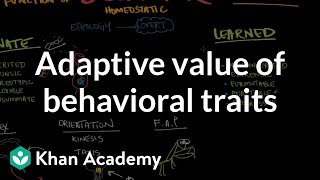 Adaptive value of behavioral traits  Behavior  MCAT  Khan Academy [upl. by Ariamat]