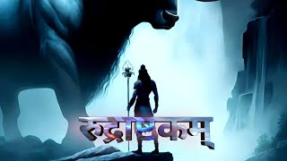 Rudrashtakam  Namami Shamishan Nirvan Rupam 🔱mahadev shivshakti [upl. by Avril]