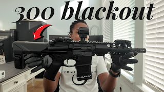 My 300 Blackout Build Mods [upl. by Zug134]