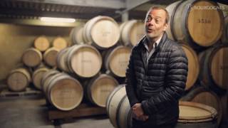 La légende des Grands Crus blancs de Montrachet [upl. by Hasty]