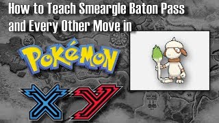 How To Teach Smeargle Baton Pass in Pokemon XY [upl. by Soneson]