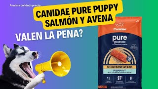 Análisis de alimento para perro Canidae Pure Puppy Salmón y Avena [upl. by Araccot]