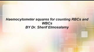 Haemocytometer squares to count Rbcs and WbcS [upl. by Eimile]