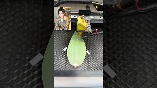 leaf painting production processleaf engraving machineleaf carving [upl. by Derek650]