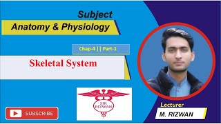 Skeletal System Part1  Chap4  Anatomy and Physiology1  BSN and Paramedics Course UrduHindi [upl. by Engedi]