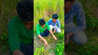 Bhai ka bantwara comedy newfun funny newrending viralreels shortfeed youtubeshorts [upl. by Led]