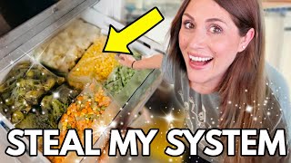 Stock Your Freezer with Homemade Meals  My NoFuss Meal Prep Routine [upl. by Maurizia185]