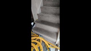 Carpet Cleaning to prove a point [upl. by Brian409]