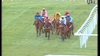 1995 Queen Mother Champion Chase [upl. by Aciruam137]